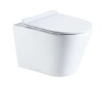 Wall hung toilet