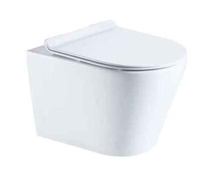 Wall hung toilet