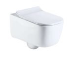 Wall hung toilet