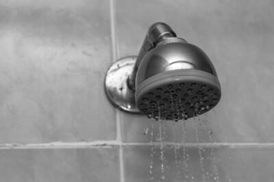 rain head shower
