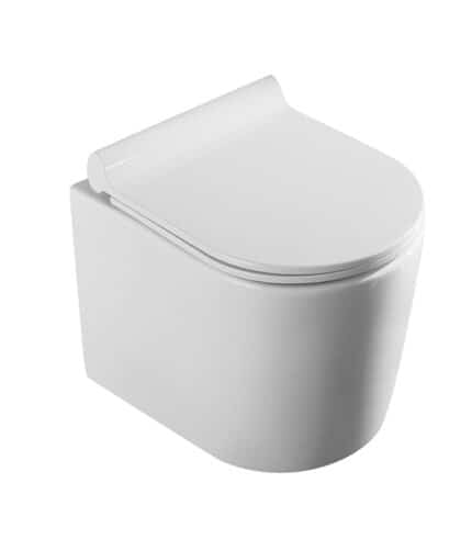 Wall Hung Toilet