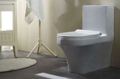 Picture Of One Piece Toilet