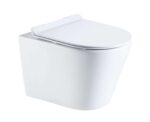 Wall hung toilet