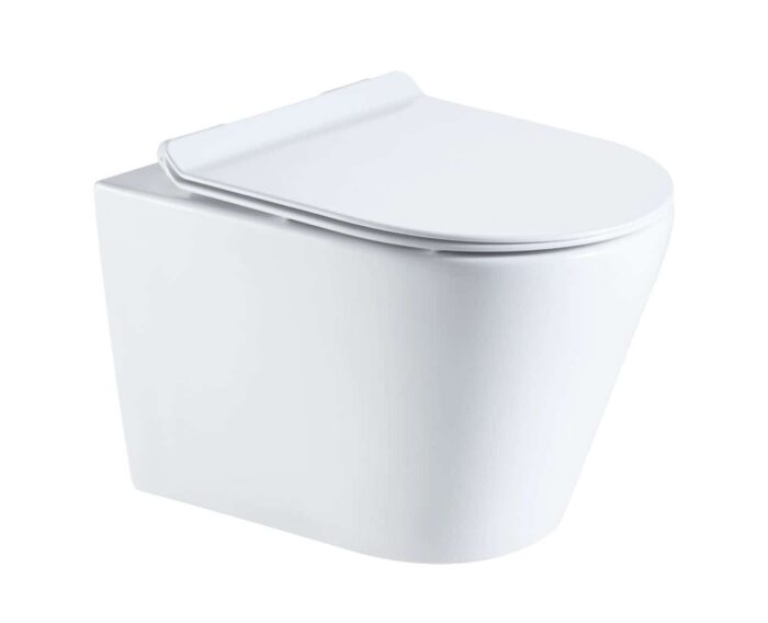 Wall hung toilet