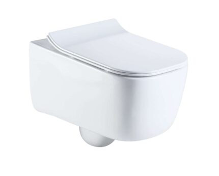 Wall hung toilet
