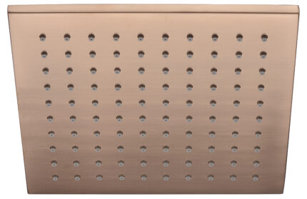 10" RAIN SHOWER (BRASS)