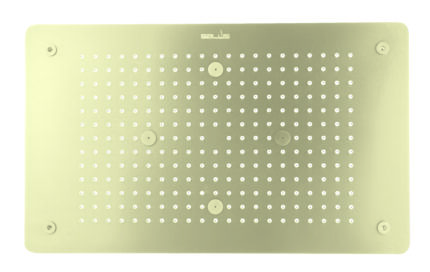 DUAL FLOW SHOWER