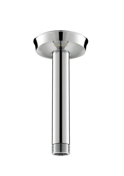 Shower Arm