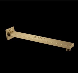 Shower Arm
